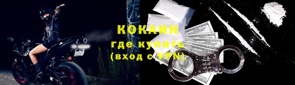 гидра Лагань