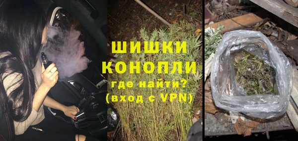 дурь Лиски