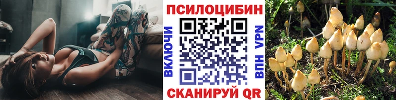 Галлюциногенные грибы Cubensis  купить  сайты  Нерчинск 